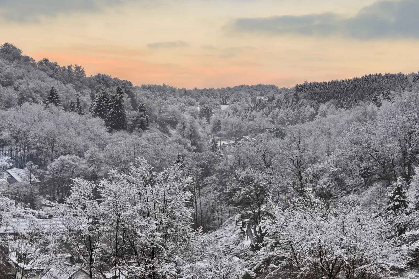 Frostiger Morgen