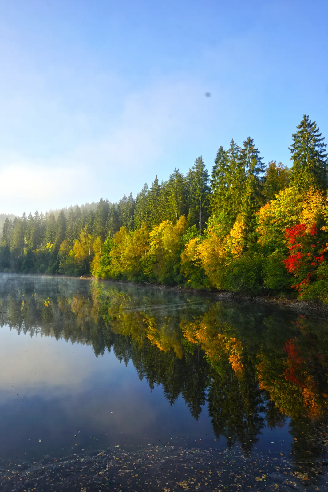Herbst