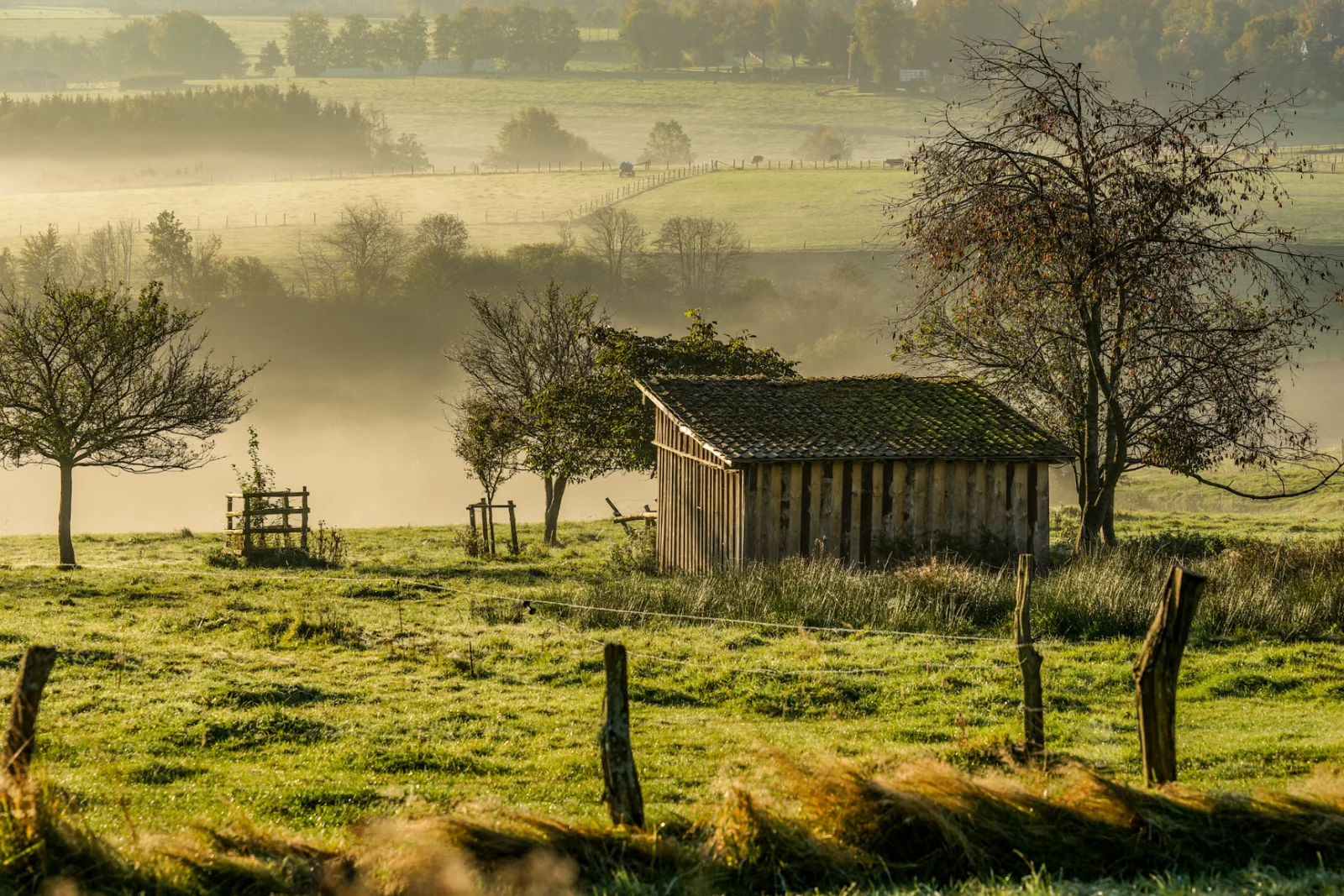Herbstmorgen