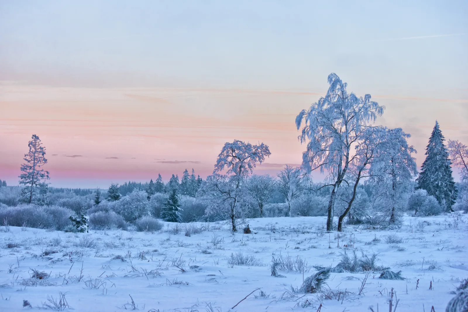 Winter im Venn